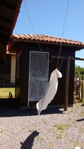 Imagem 19 de 20 de Casa À Venda Na Servidão Pmg 21, Grama, Garopaba - Sc - Liv-22598