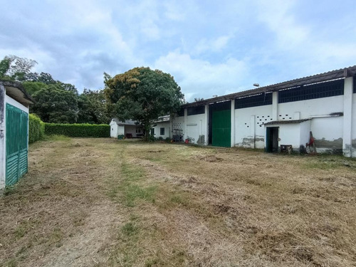 Imagen 6 de 17 de Bodega En Venta En Santander De Quilichao La Corona 1. Cod 102692