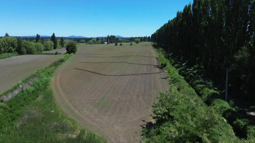 Productivo Campo Agricola