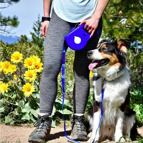 Trela Multifunções Para Cães - Frete Internacional Grátis