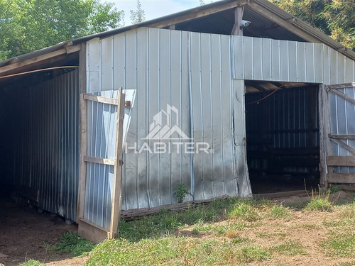 Imagen 24 de 30 de Agrícola Orilla Asfalto Con 5 Hectáreas En Venta En Cunco