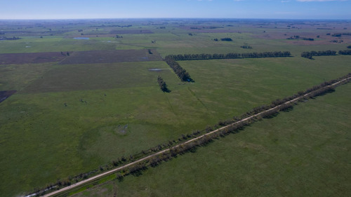 Campo En Venta Mixto 188ha San Andres De Giles