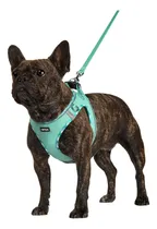 Comprar Juego De Arnés Para Perros Amtor Con Correa, Sin Tirones, Aj