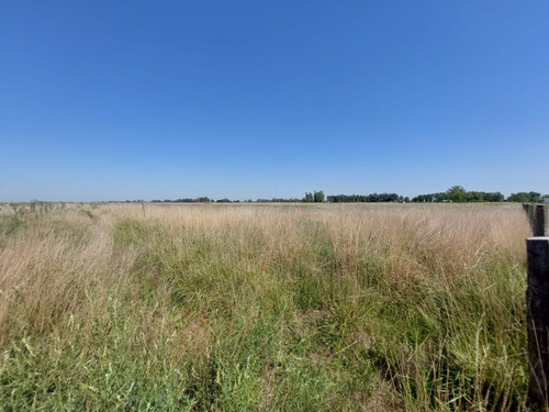 Vendo Lote Grande En Un Pueblito Rural, Saladillo