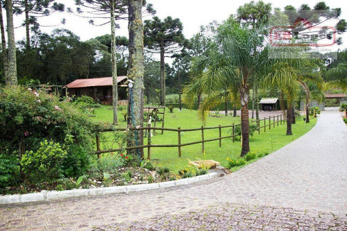 Chácara Rural À Venda, Campina, São José Dos Pinhais - Ch0001. - Ch0001