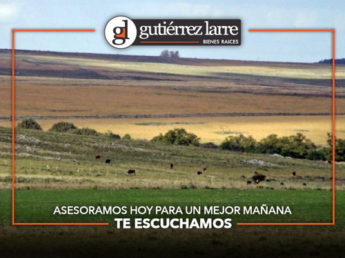 Buen Campo Agrícola, Ganadero, Forestal. Lindo Casco Y Costa