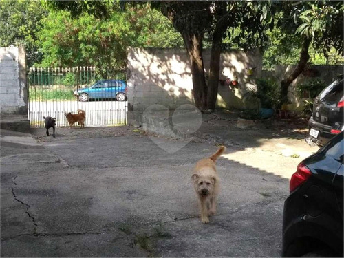 Imagem 10 de 15 de Terreno Na Vila Guilherme - Reo264343