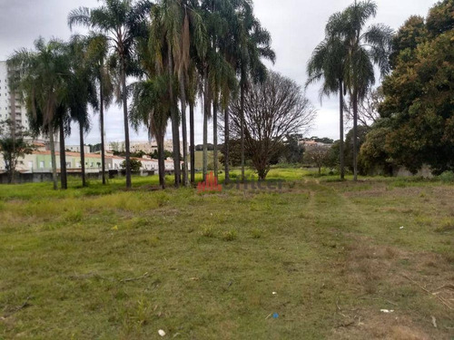 Imagem 3 de 4 de Área À Venda, 13710 M² Por R$ 13.710.000,00 - Jardim Califórnia - Jacareí/sp - Ar0002