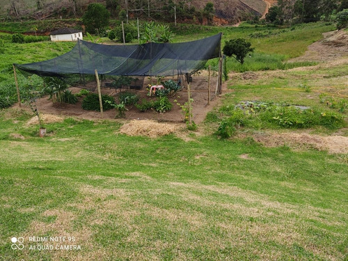 Sítio Com Casa E Mina De Água Maravilhosa!