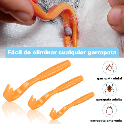 Kit Com 11 Peças De Ferramenta Para Remoção De Carrapatos,