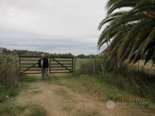 Imagen 4 de 12 de Campo - Colonia Uruguay