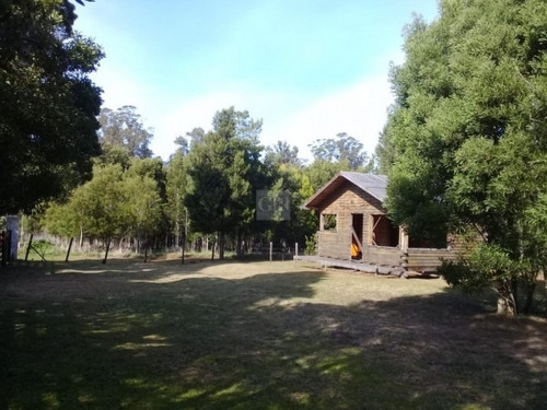 Imagen 3 de 5 de Lote Con Cabana A Terminar,miramar