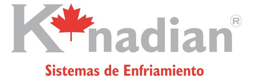 Bomba De Agua Electrónica Knadian Vw Gti Jetta Gli Mk7 Cupra