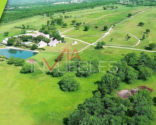 Imagen 1 de 5 de Terreno / Lote En Venta En Allende