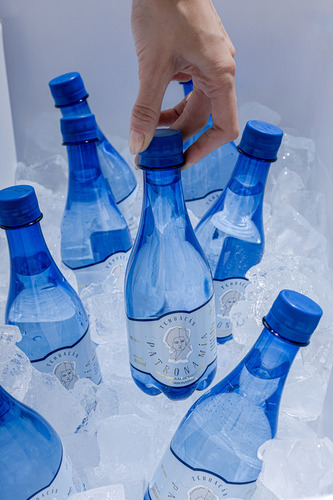 Agua Mineral Tehuacán Patrona Mía 355ml - Caja 24 Botellas