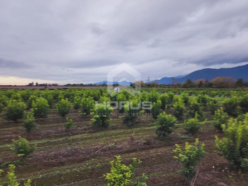 Venta De Parcela En Peumo