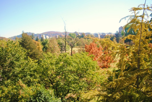 Imagen 2 de 25 de Departamento Espectacular Vista Club De Golf Los Leones.