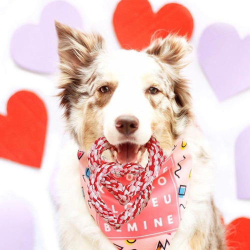 Juguete Para Perro De San Valentín, Corazón Entrelazado, Jug