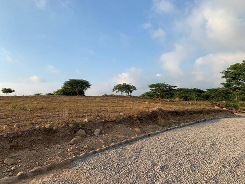 Imagen 9 de 14 de Terreno En Venta En El Chivato, Villa De Alvarez, Colima