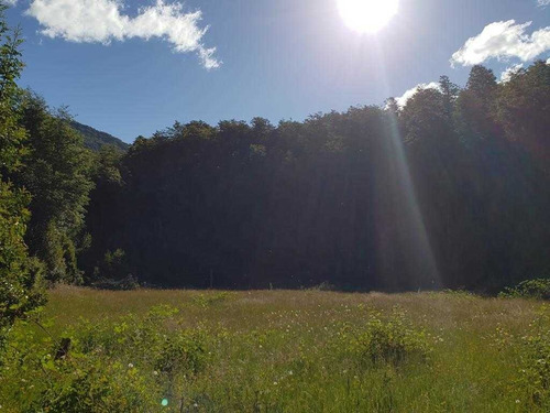 Imagen 5 de 10 de Vendo Maravilloso Campo Con Ríos Y Bosque Nativo.