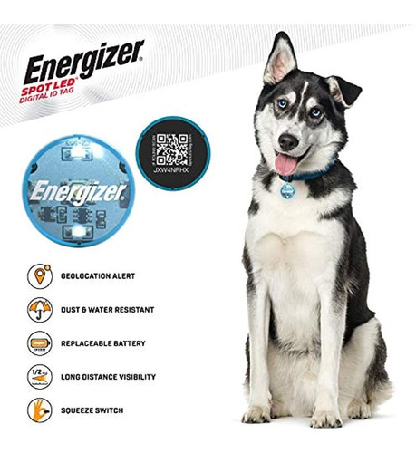 Spot Led Energizer Digital Pet Qr Recovery Id Tag, Ip65 Resi