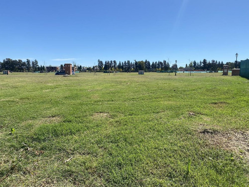 Imagen 10 de 12 de ¡oportunidad! Lote A La Laguna - Santa Ana Villanueva - Tigre - 638 M2 - Apto Para Construir Ya!