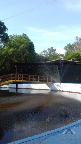 Chácara Com 2 Dormitórios À Venda, 9252 M² Por R$ 1.280.000,00 - Rui Barbosa - Londrina/pr - Ch0041
