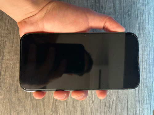 iPhone 13 Pro Max (Usado)
