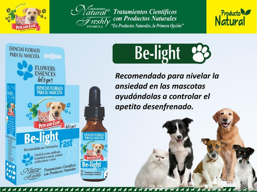 Esencias Florales Para Mascotas Equilibra Su Comportamiento