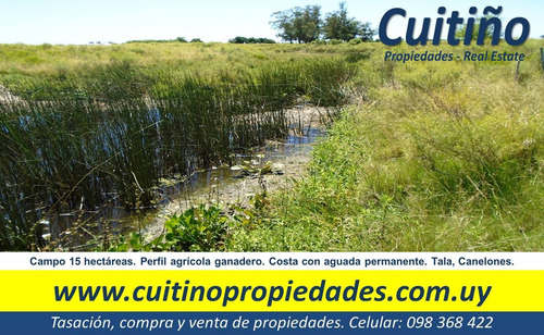 Imagen 2 de 17 de Campo 15 Has Con Aguada Permanente Tala Canelones