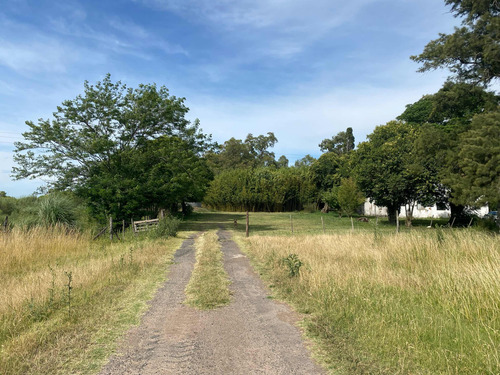4 Hectáreas En Venta Sobre Ruta 7 Villa Espil, Giles, Bs As
