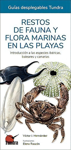 Restos De Fauna Y Flora Marinas En Las Playas, De Victor J. Hernandez. Editorial Tundra, Tapa Blanda En Español, 2021