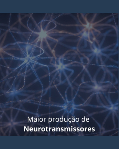 Booster Cerebral Neuro Fox Pró Nutriage 300 Cáps (5 Frascos) Sabor N/D