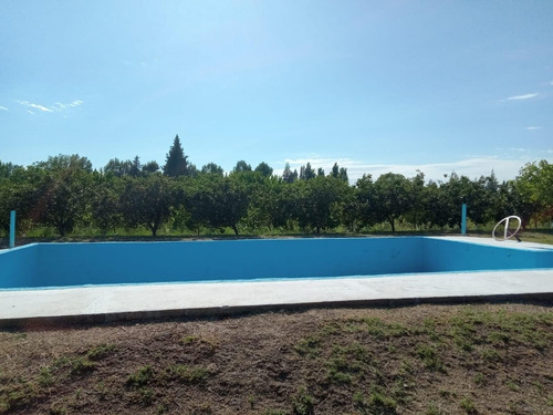 Finca Con Dos Propiedades Y Produccion En General Alvear