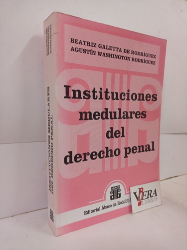 Instituciones Medulares Del Derecho Penal - Galetta