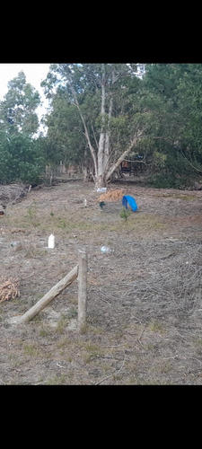 Dueño Vende Terreno En Balneario Argentino Lado Sur