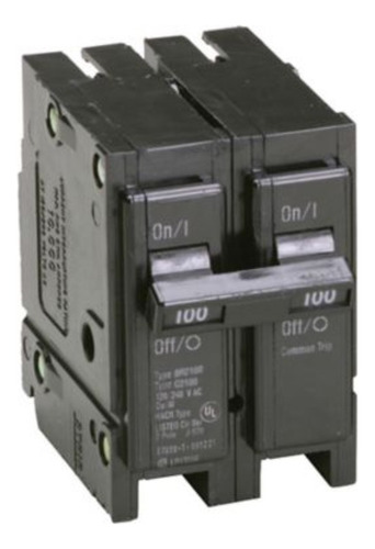 Interruptor Br 2x100 Amp