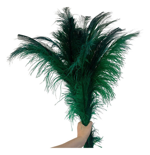 Plumas De Avestruz Palito 100g Decoração Artesanato Colorida Cor Verde Bandeira