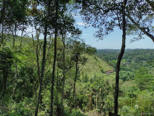 Imagem 1 de 8 de Terreno Para Venda Em Itapecerica Da Serra, Jardim Renata - 641_2-1449011