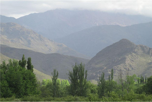 Imagen 3 de 7 de Terreno De 8800 M2, A 500 Mts Del Manzano Histórico, Sobre Ruta 89, Mendoza