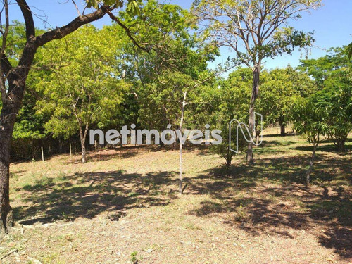 Imagem 20 de 30 de Venda Chácara Zona Rural São Sebastião - 794340