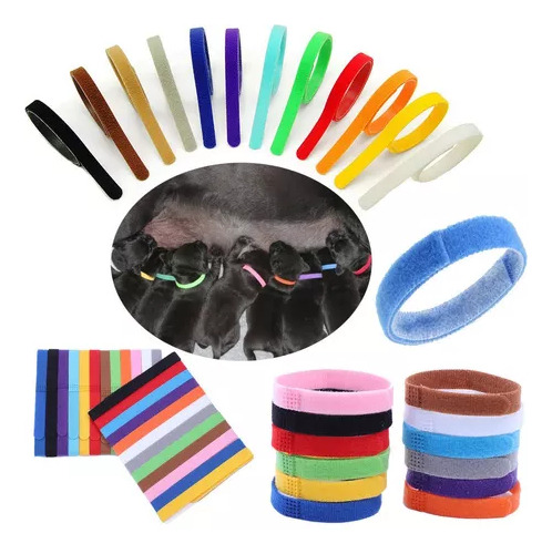 36 Collares Y Bandas Con Identificación De Cachorro Talla