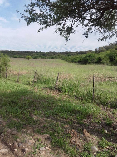 Imagen 6 de 8 de Campo En Alquiler La Granja Córdoba