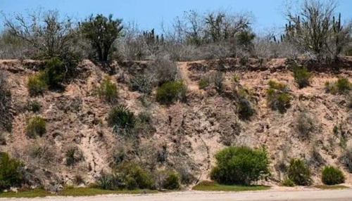 Sinaloa Isla De Tachichitle Terreno Venta Angostura