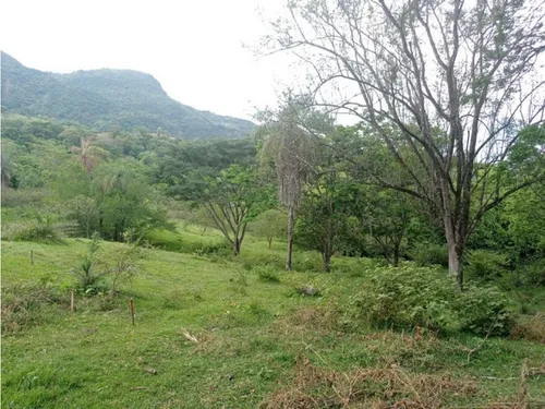 Vendo Lotes En La Pintada Con Vista A Farallones Desde 2.703 M²