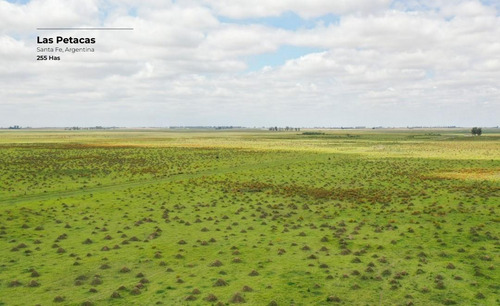 Campo De 255 Hectáreas En Las Petacas, Santa Fe