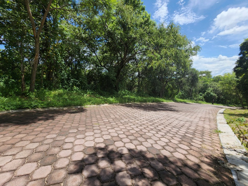Venta Lote San Diego 56 Sobre Avenida Principal Y Cercanía A Las Amenidades Del Fracc Rancho San Diego Ixtapan De La Sal Edomex