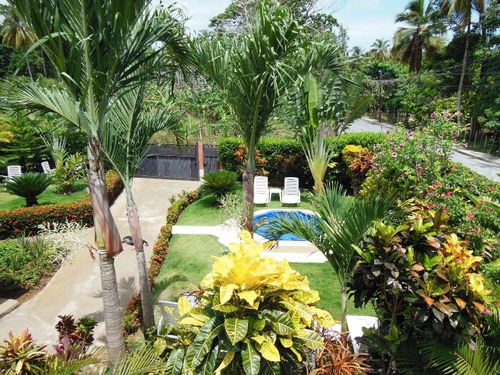 Imagen 6 de 10 de Apartamento Estudio En Alquiler, Las Terrenas, Samaná