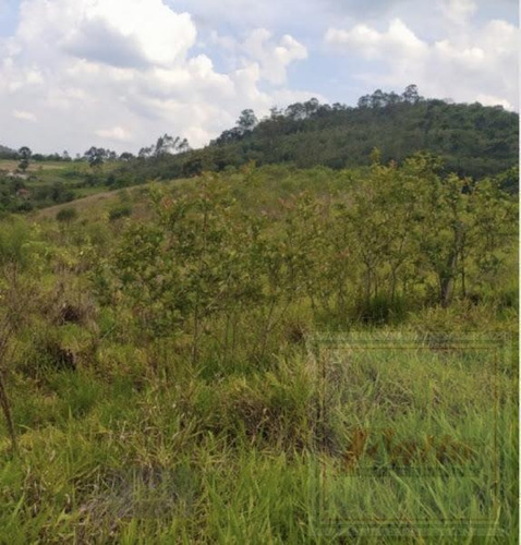 Imagem 6 de 6 de Sítio Para Venda Em Atibaia, Rio Acima - Si0002_2-1139539