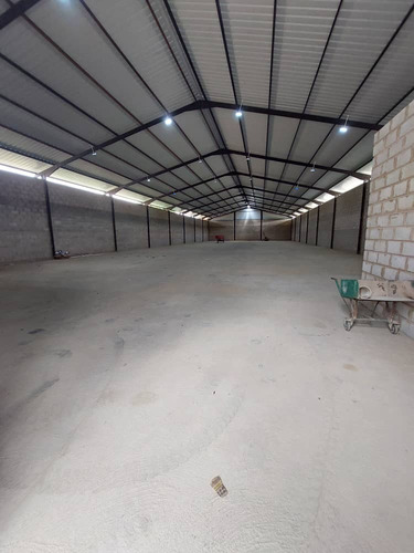 Am* Alquiler Galpón - Distribuidor Firestone (1.100 M2) - Valencia